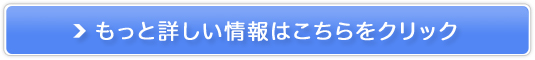 S̊i^J[rNo.1yskyticket^J[z̔TCg